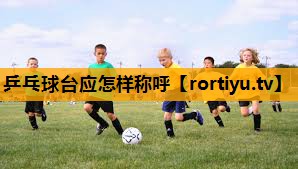 乒乓球台应怎样称呼