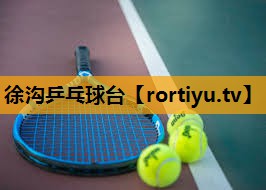 徐沟乒乓球台