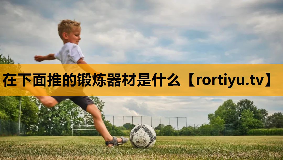 在下面推的锻炼器材是什么