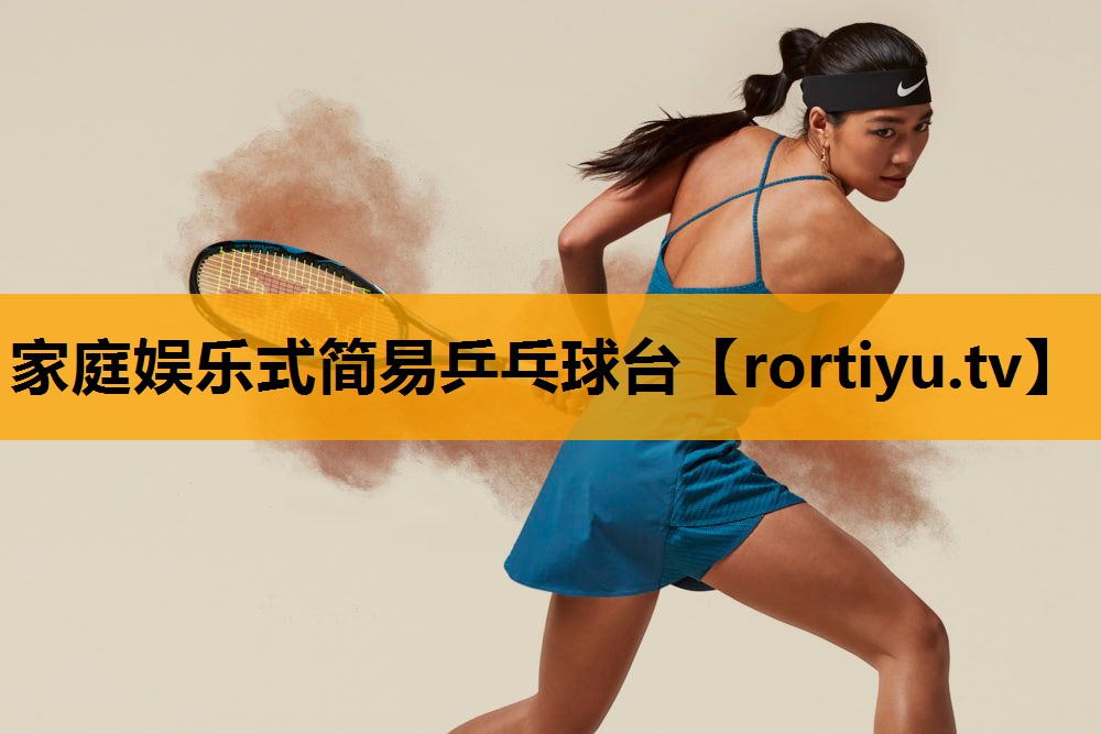 家庭娱乐式简易乒乓球台