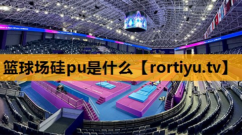 篮球场硅pu是什么